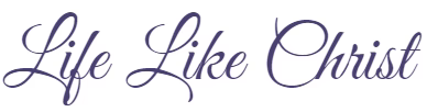 RankHigherTheme® Logo